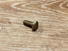 Johnson Evinrude OMC 306487 By-Pass Cover Screw