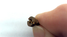 Johnson Evinrude OMC 320502 Orifice Plug 076 76