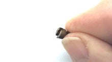 Johnson Evinrude OMC 326928 Orifice Plug 55