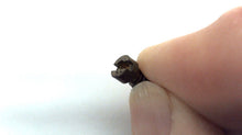 Johnson Evinrude OMC 334568 Orifice Plug 39
