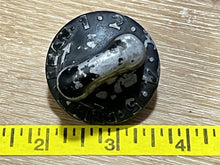 Gale SeaKing 74GG9012 200164 Carb Adjustment Knob - Used