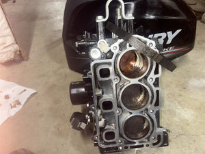 Mercury 898103T34 25HP EFI 4 Stroke Shortblock Outboard Engine Powerhead Exclnt