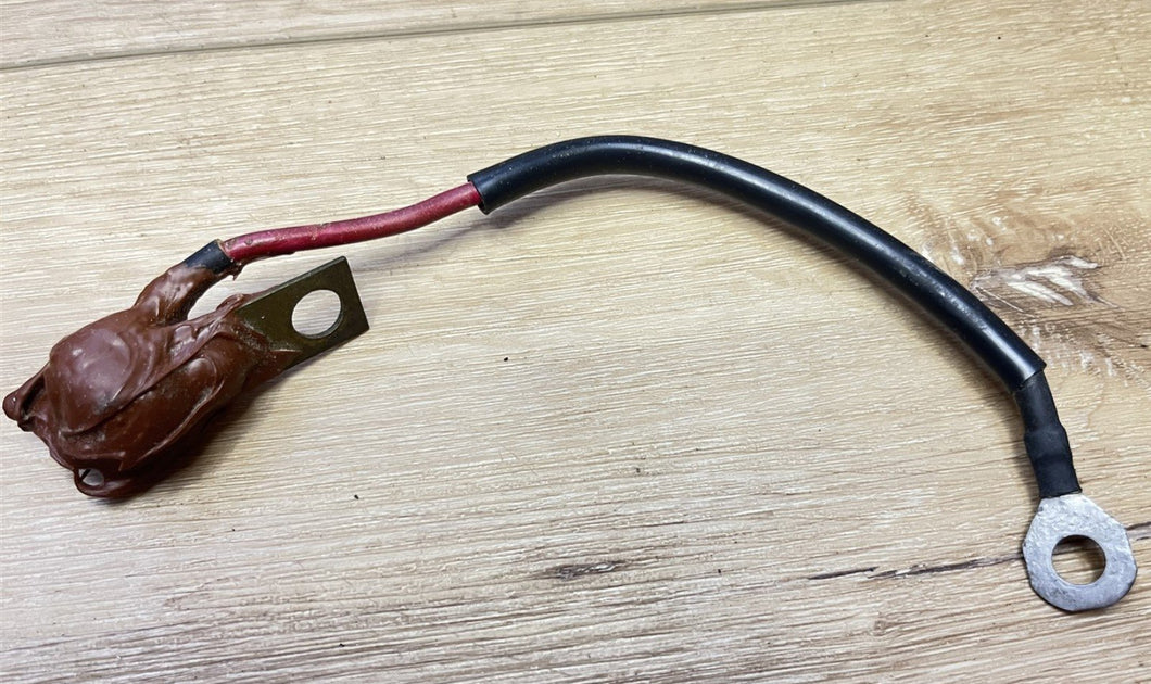 Johnson Evinrude OMC 980580 Fuse and Lead