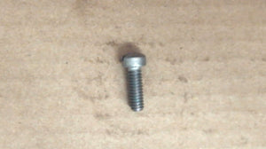 Johnson Evinrude OMC 300258 Screw