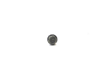 Johnson Evinrude OMC 309924 Screw - Used