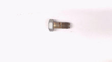 Johnson Evinrude OMC 306450 Screw 1976-1985 20-35hp - Used