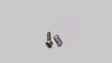 Sears Gamefisher 217-586612 650772 Screw & 630766 Spring 5hp - Used