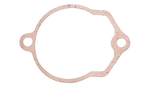 Vintage Evinrude 171069 Gasket (CD5)