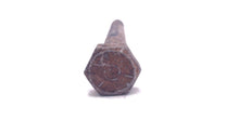 Mercury 10-36289 Screw, Transom Ransom Plate to Flywheel Housing - Used (4 3/4")