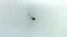 Polaris 3233037 Vent