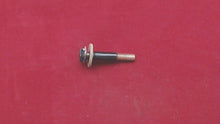 Johnson Evinrude OMC 304853 Screw