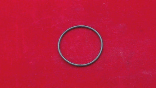 Polaris 5410541 O-Ring