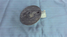 Johnson Evinrude OMC 316981 Trim Tab - Used