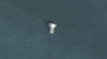 Johnson Evinrude OMC 304572 Arm Screw