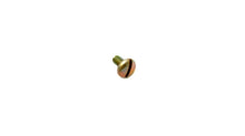 Johnson Evinrude OMC 303761 Leaf Screw - Used
