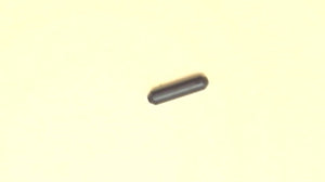Mercury 29-52168 Single Needle Bearing