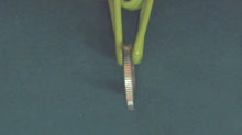 Johnson Evinrude OMC 204366 Face Nut
