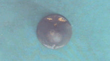 Johnson Evinrude OMC 385894 Prop Nut - Used
