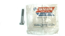 Yamaha 90101-06M07-00 Screw