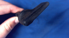 Mercury 47969 Choke Knob & Shaft