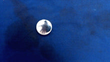Johnson Evinrude OMC 309024 Plug