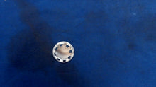 Johnson Evinrude OMC 309024 Plug