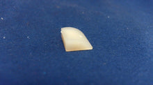 Aqua Power 1760 Impeller Key (Replaces OMC 331901)