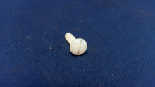 Mercury Force F12380 Magneto Screw