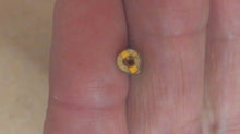 Johnson Evinrude OMC 328535 Orifice Plug # 41