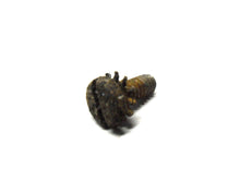 Johnson Evinrude OMC 307361 Fastener 305230 Screw - Used