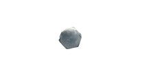 Mercury 4541 Plug Screw - Used