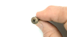 Johnson Evinrude OMC 126028 Screw 307999 Nut - Used