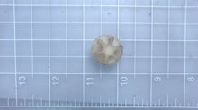 Johnson Evinrude OMC 318395 Valve, Relief - Used