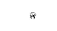 Evinrude Sportwin 202083 Control Knob Spring - 1948 3.3HP - Used