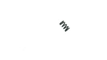 Chrysler Force FO11103 Idle Screw Spring - Used