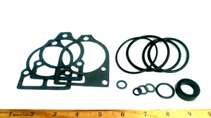 Aqua Power 062 Water Pump Kit for OMC 508419