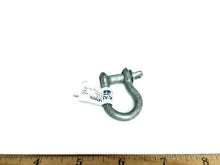 Sea-Dog 147806 1/4" Galvanized Anchor Shackle