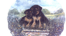 Royal Albert Playful Puppies 8 1/2" Collectors Plate - German Shepard Dogs