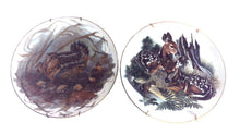 Nature's Heritage 8 1/2" Collectors Plates - Set of 2