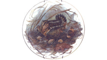 Nature's Heritage 8 1/2" Collectors Plates - Set of 2