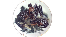 Nature's Heritage 8 1/2" Collectors Plates - Set of 2