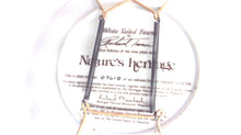 Nature's Heritage 8 1/2" Collectors Plates - Set of 2
