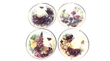 Royal Vale Butterfly Kingdom 8" Collectors Plates - Set of 4