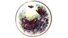 Royal Vale Butterfly Kingdom 8" Collectors Plates - Set of 4