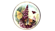 Royal Vale Butterfly Kingdom 8" Collectors Plates - Set of 4