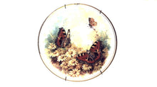 Royal Vale Butterfly Kingdom 8" Collectors Plates - Set of 4