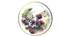Royal Vale Butterfly Kingdom 8" Collectors Plates - Set of 4