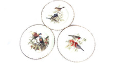 Set of 3 Royal Vale Bird Collectors Plates 10 1/2"