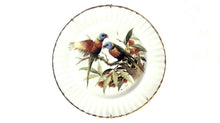 Set of 3 Royal Vale Bird Collectors Plates 10 1/2"