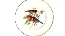 Set of 3 Royal Vale Bird Collectors Plates 10 1/2"